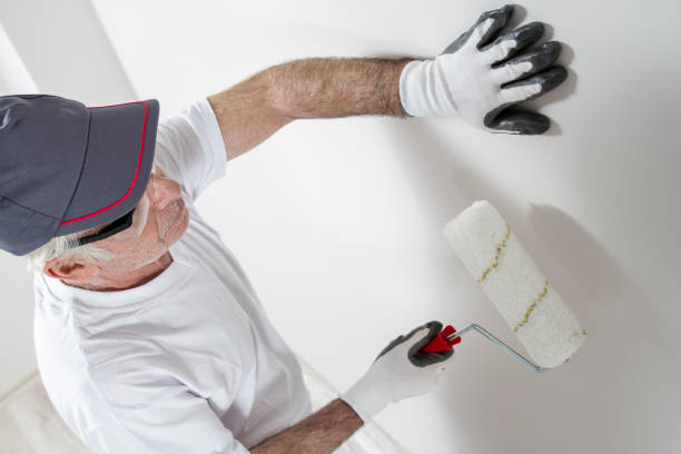 Best Basement Mold Removal  in Aspen, CO