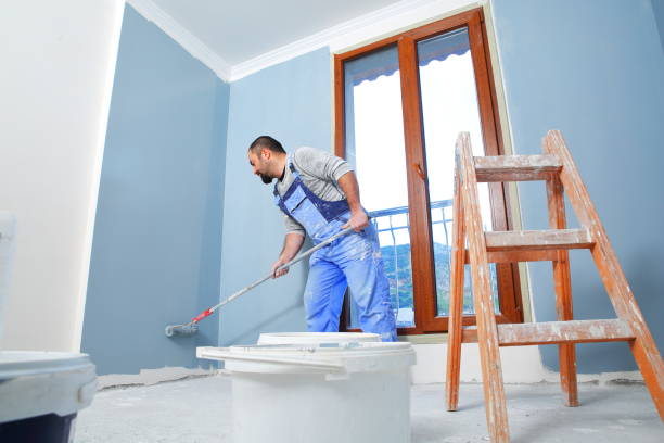 Aspen, CO Mold Removal Company