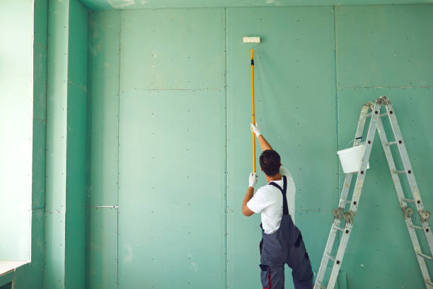 Best Real Estate Mold Inspection  in Aspen, CO
