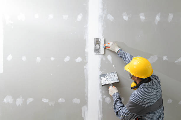 Best Mold-Related Health Consultation  in Aspen, CO