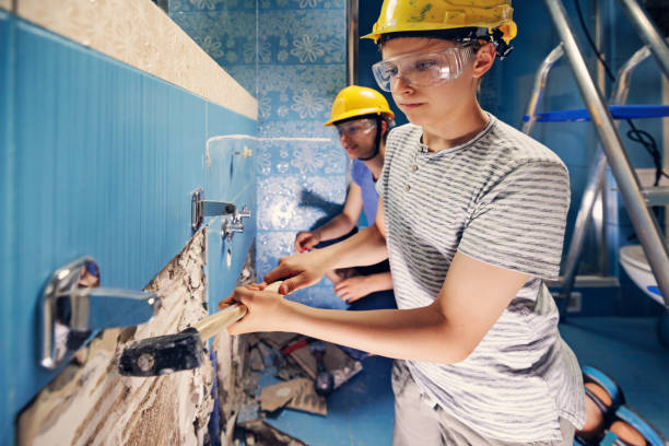 Best Black Mold Removal  in Aspen, CO