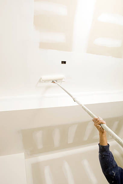 Mold Remediation for Rental Properties in Aspen, CO