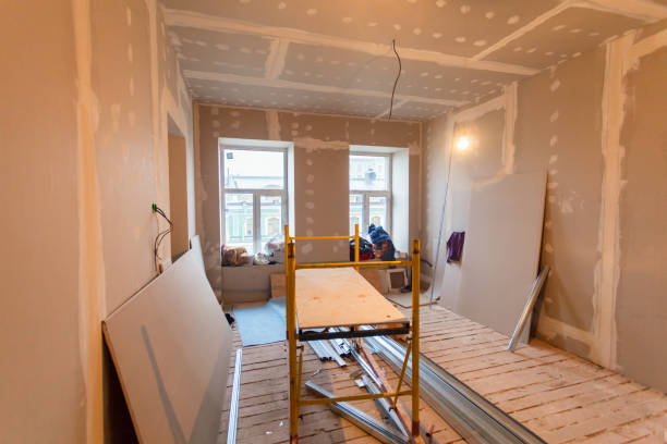 Best Mold Remediation for Rental Properties  in Aspen, CO